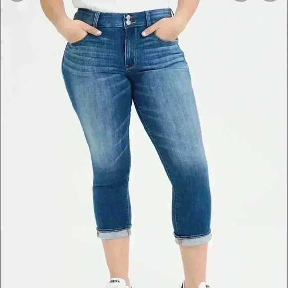 AE Ne(x)t Level Artist Crop Jean Size 24 Long NWT - Picture 1 of 14